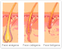 Depilação a laser: em que idade começar