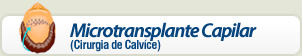 Microtransplante Capilar